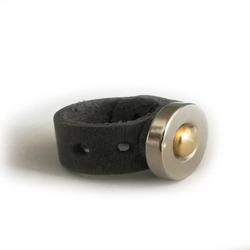 2-and-cmagnetic rock, gray skin